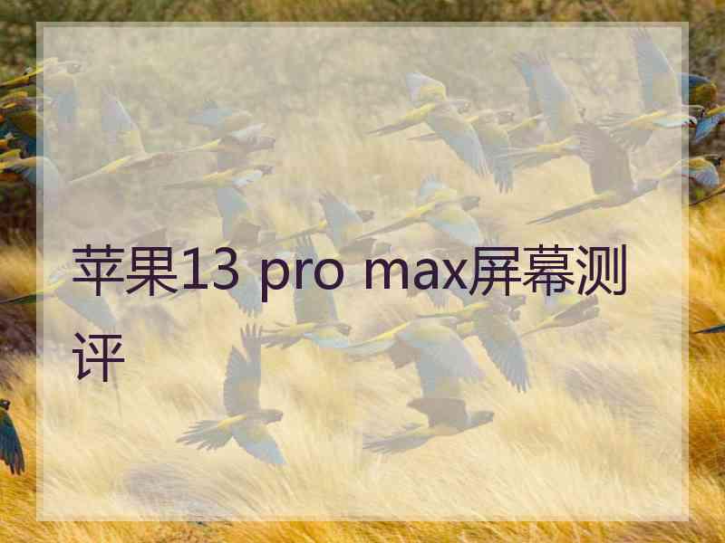 苹果13 pro max屏幕测评