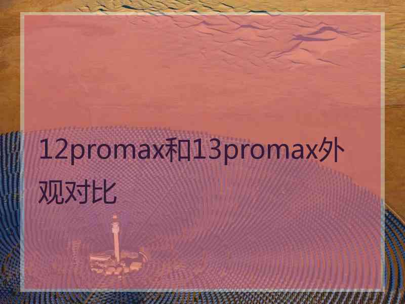 12promax和13promax外观对比