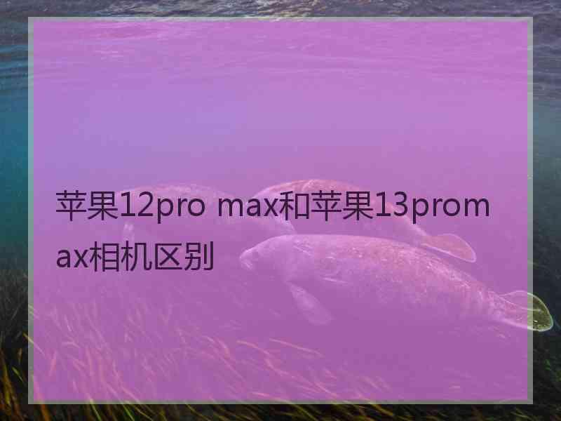 苹果12pro max和苹果13promax相机区别