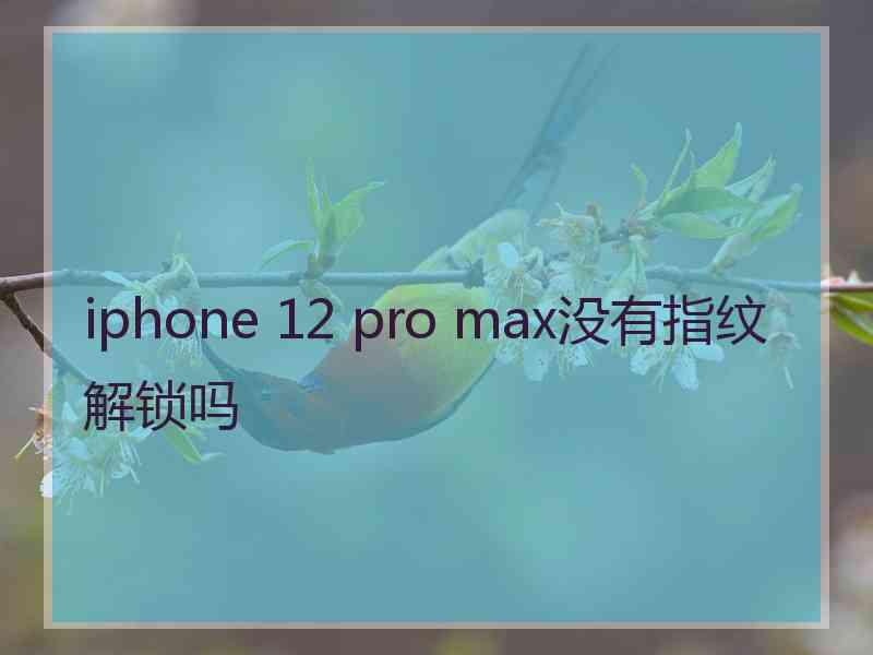 iphone 12 pro max没有指纹解锁吗