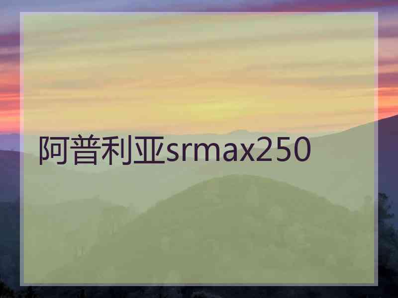 阿普利亚srmax250