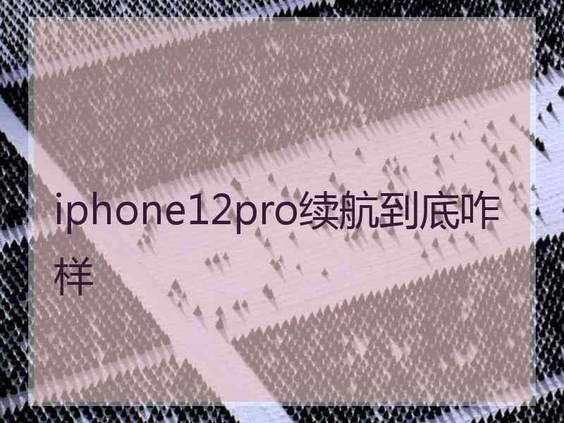 iphone12pro续航到底咋样