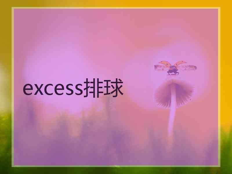 excess排球