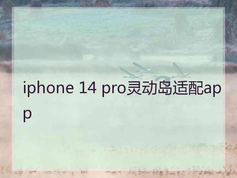 iphone 14 pro灵动岛适配app