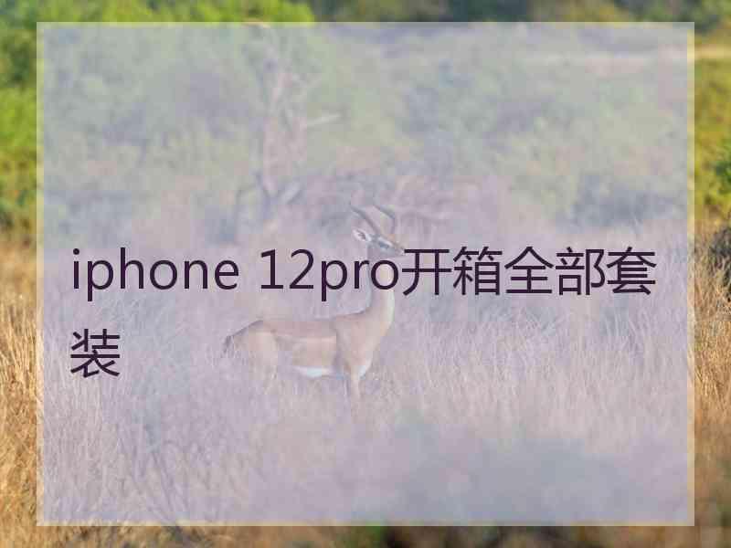 iphone 12pro开箱全部套装