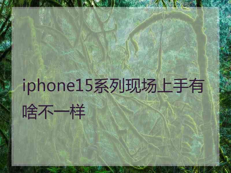 iphone15系列现场上手有啥不一样