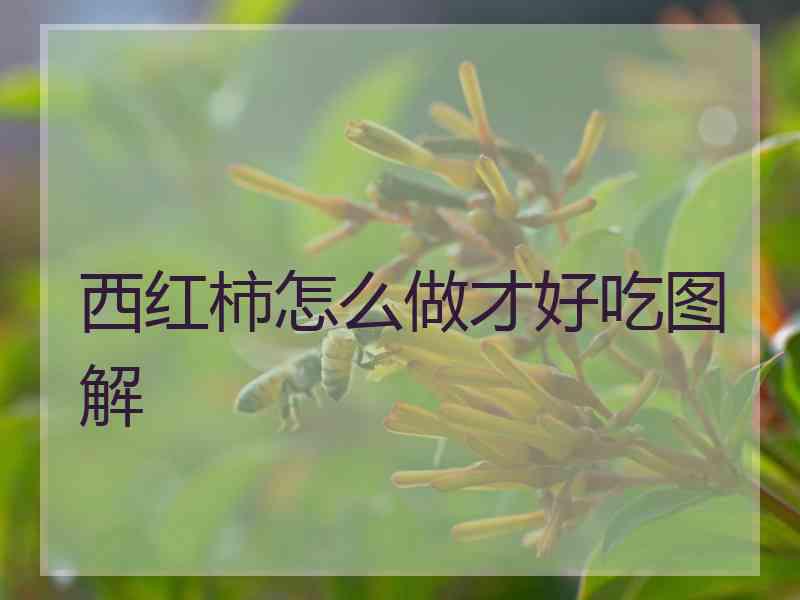 西红柿怎么做才好吃图解