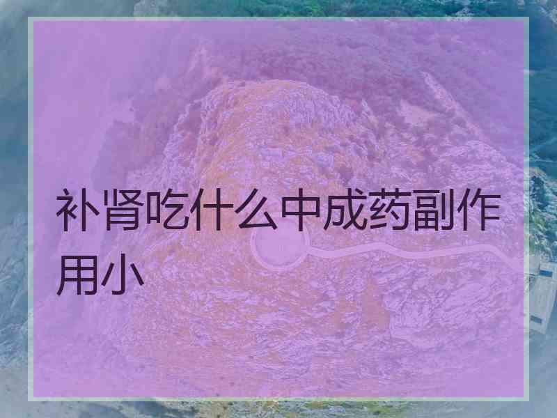 补肾吃什么中成药副作用小