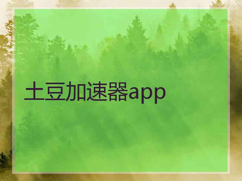 土豆加速器app