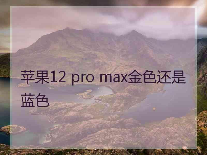 苹果12 pro max金色还是蓝色