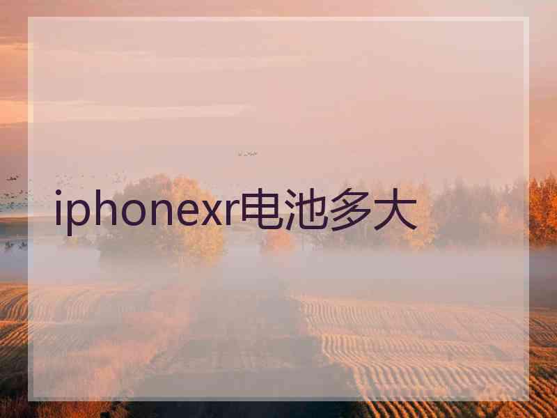 iphonexr电池多大