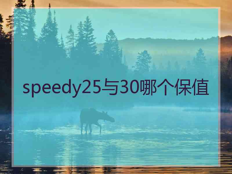 speedy25与30哪个保值