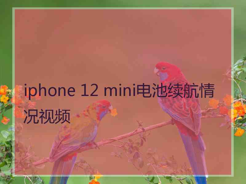 iphone 12 mini电池续航情况视频