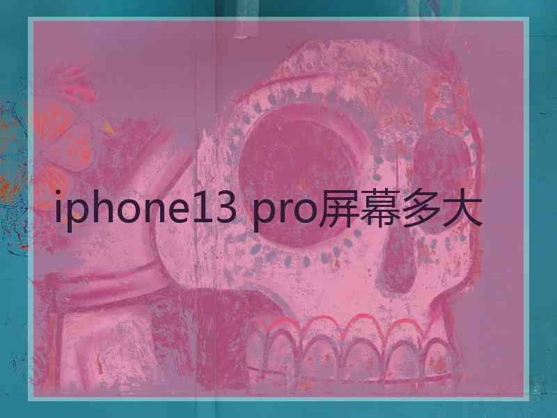 iphone13 pro屏幕多大