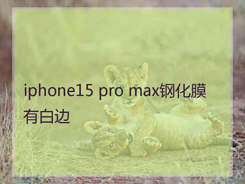 iphone15 pro max钢化膜有白边