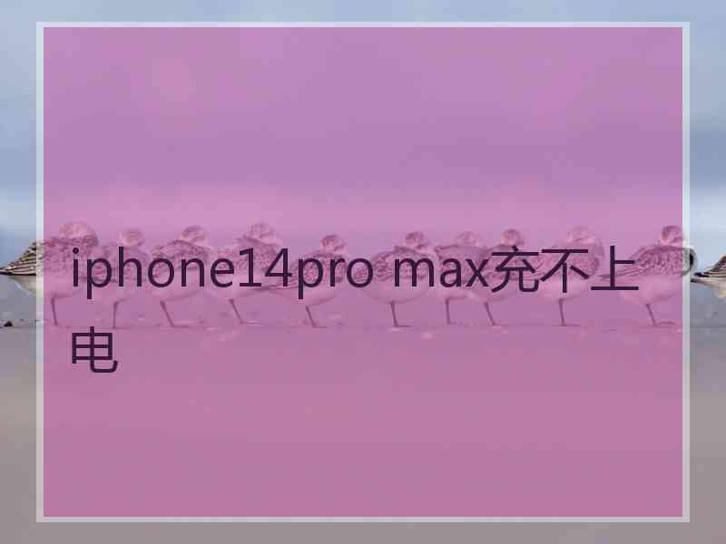 iphone14pro max充不上电