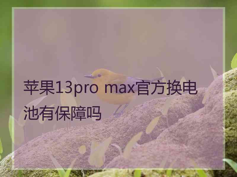 苹果13pro max官方换电池有保障吗