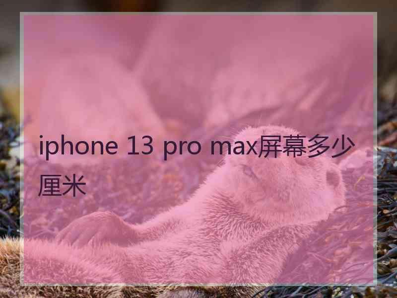 iphone 13 pro max屏幕多少厘米