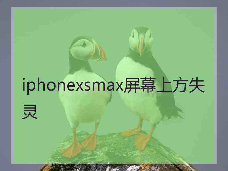 iphonexsmax屏幕上方失灵