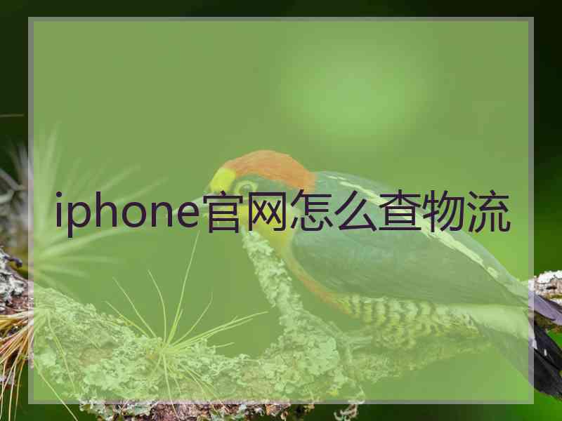 iphone官网怎么查物流