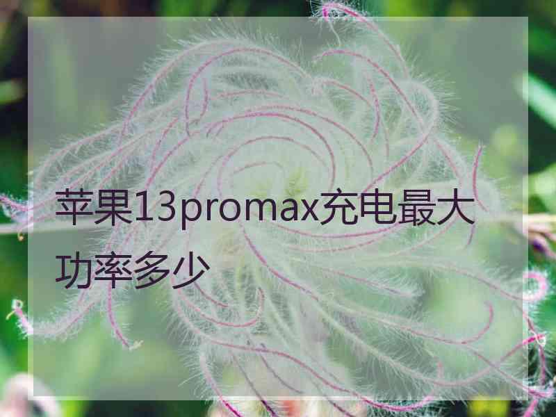 苹果13promax充电最大功率多少