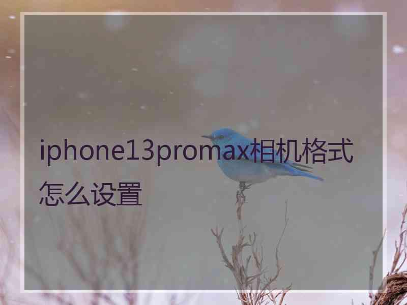 iphone13promax相机格式怎么设置