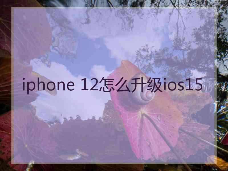 iphone 12怎么升级ios15