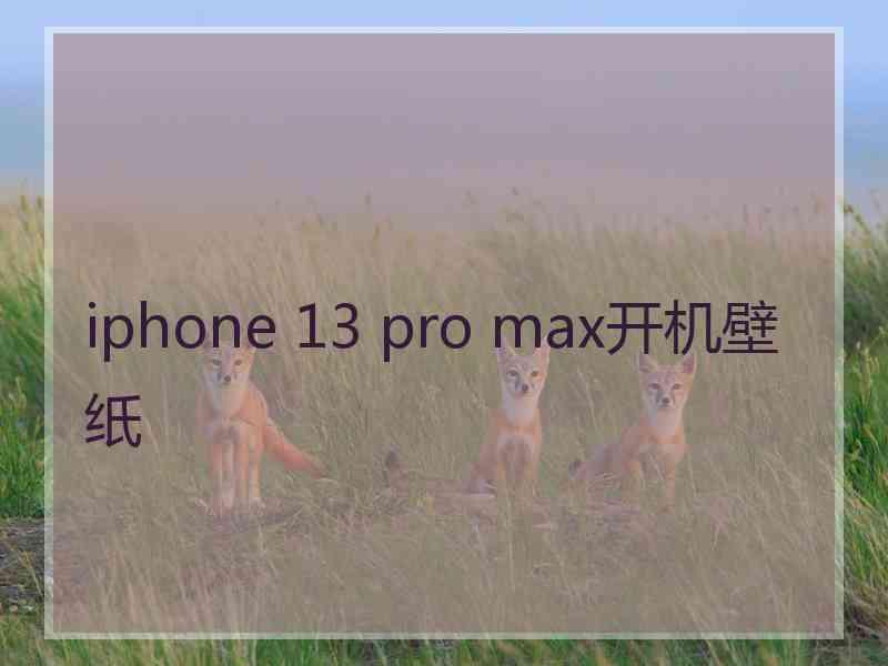 iphone 13 pro max开机壁纸