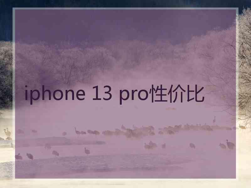 iphone 13 pro性价比