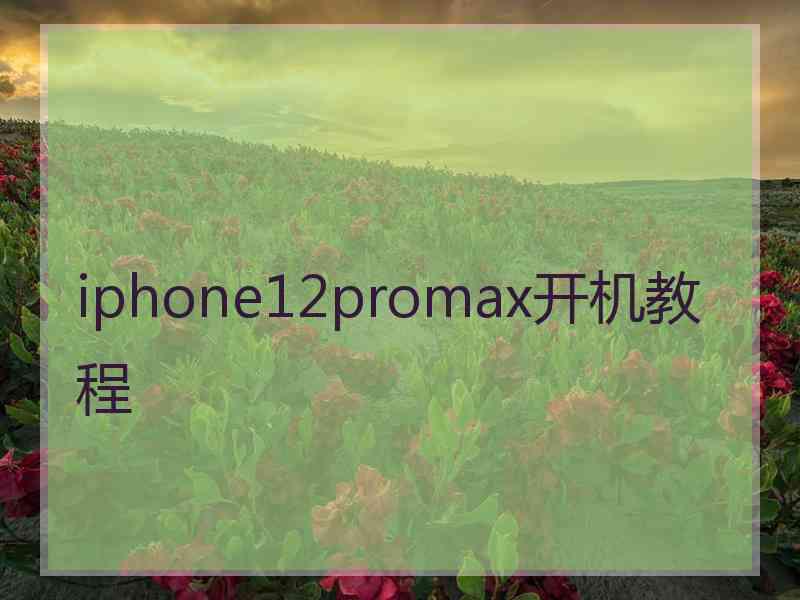 iphone12promax开机教程