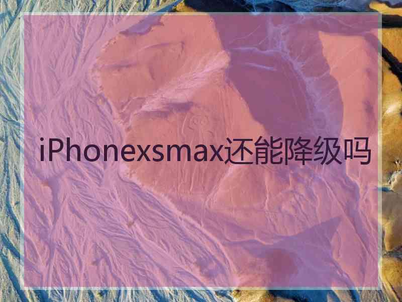 iPhonexsmax还能降级吗