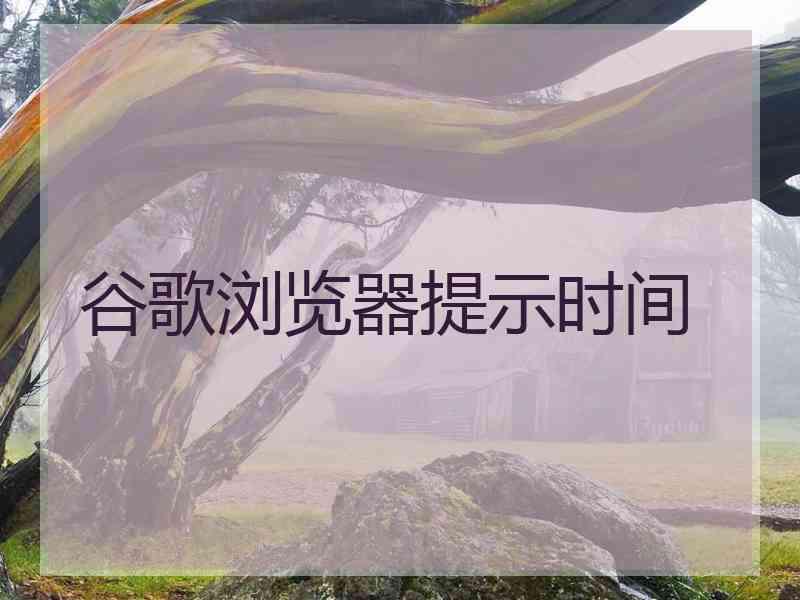 谷歌浏览器提示时间