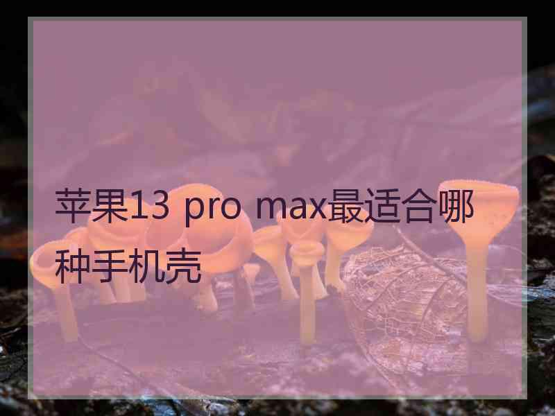 苹果13 pro max最适合哪种手机壳