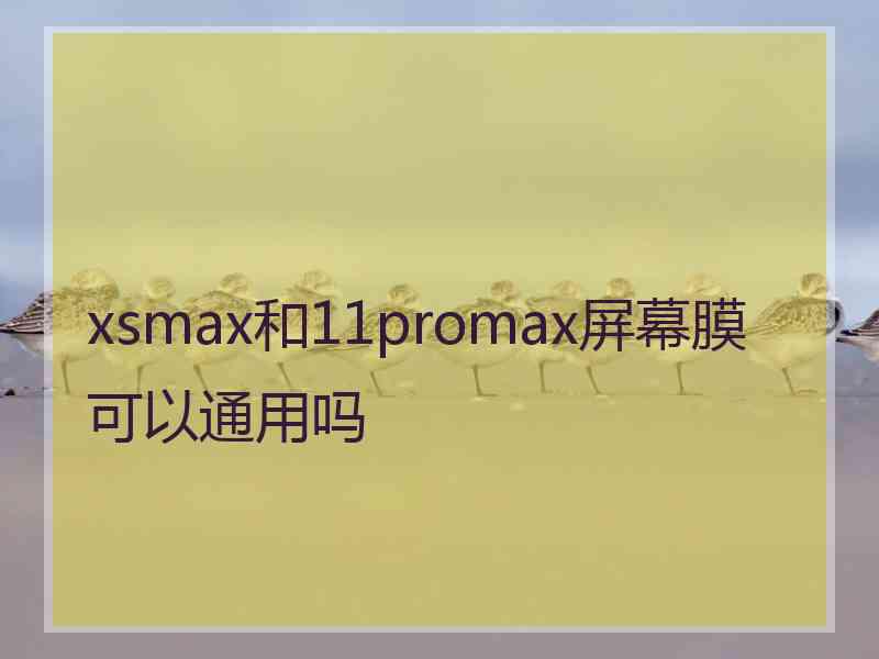 xsmax和11promax屏幕膜可以通用吗