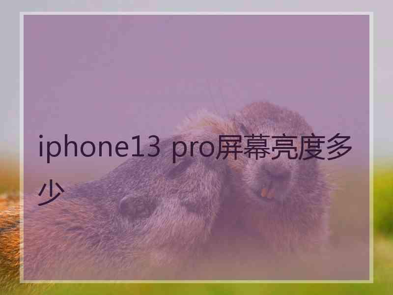 iphone13 pro屏幕亮度多少