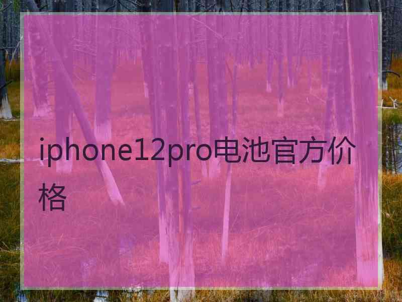 iphone12pro电池官方价格