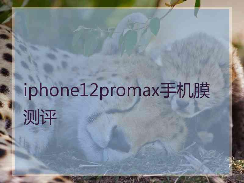 iphone12promax手机膜测评