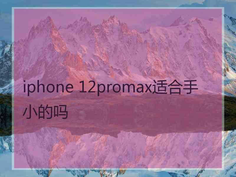 iphone 12promax适合手小的吗