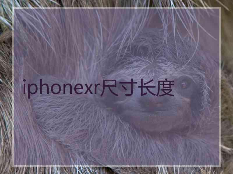 iphonexr尺寸长度