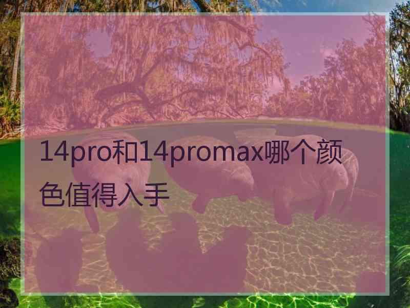 14pro和14promax哪个颜色值得入手