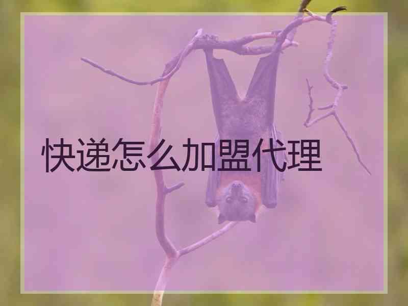 快递怎么加盟代理