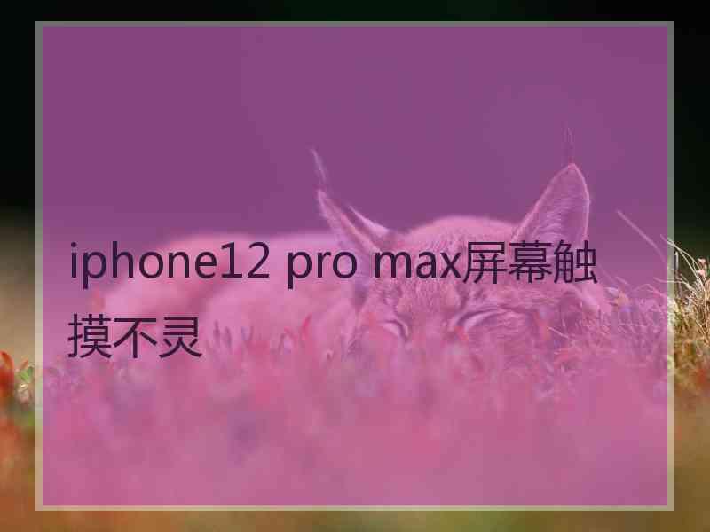 iphone12 pro max屏幕触摸不灵