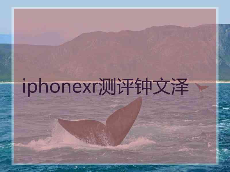 iphonexr测评钟文泽