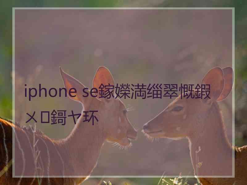 iphone se鎵嬫満缁翠慨鍜ㄨ鎶ヤ环