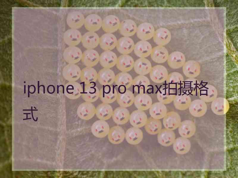 iphone 13 pro max拍摄格式