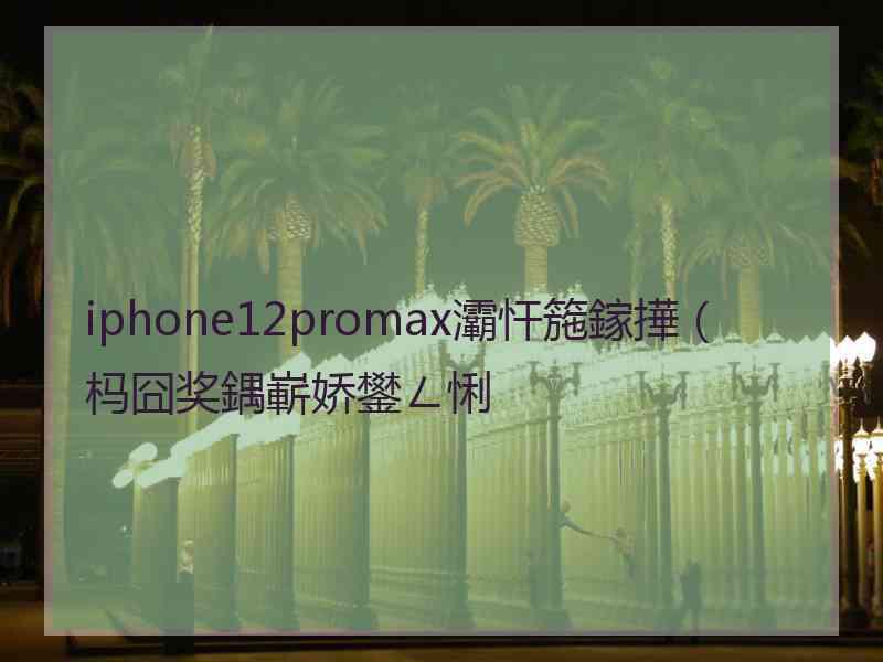 iphone12promax灞忓箷鎵撶（杩囧奖鍝嶄娇鐢ㄥ悧