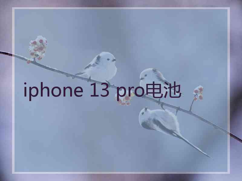 iphone 13 pro电池