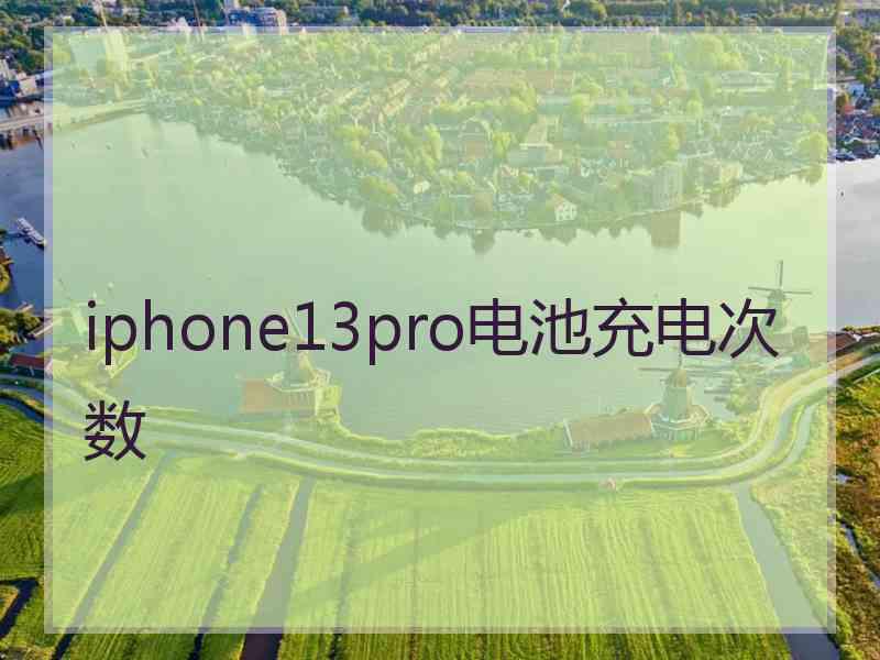 iphone13pro电池充电次数