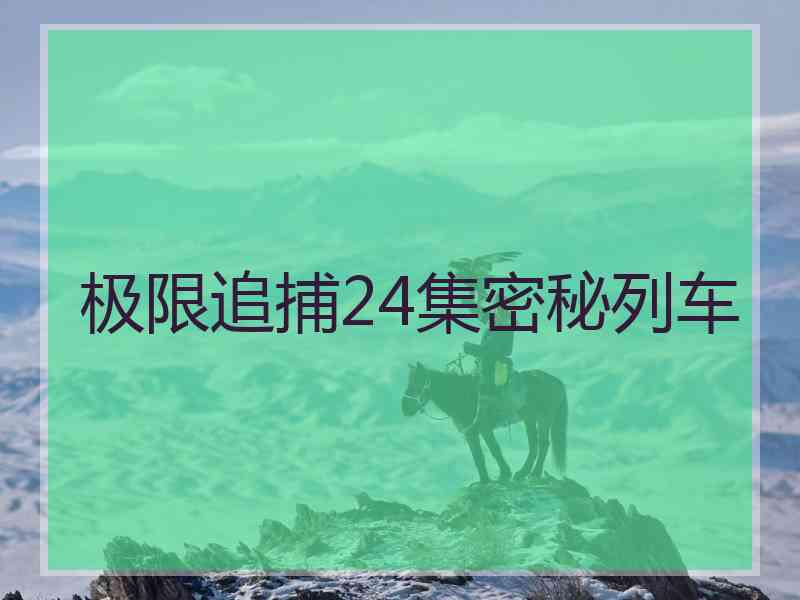 极限追捕24集密秘列车