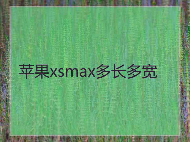 苹果xsmax多长多宽